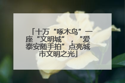 十万“啄木鸟”一座“文明城”，“爱泰安随手拍”点亮城市文明之光