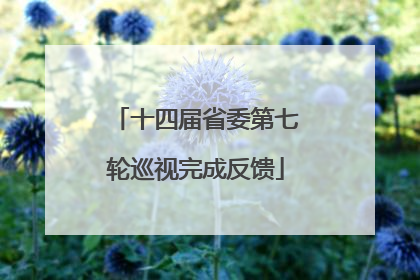 十四届省委第七轮巡视完成反馈