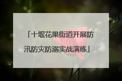 十堰花果街道开展防汛防灾防溺实战演练
