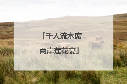 千人流水席 两岸莲花宴