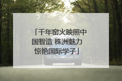千年窑火映照中国智造 株洲魅力惊艳国际学子