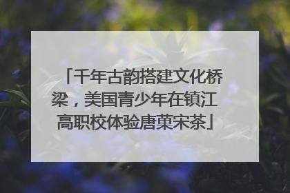千年古韵搭建文化桥梁，美国青少年在镇江高职校体验唐菓宋茶