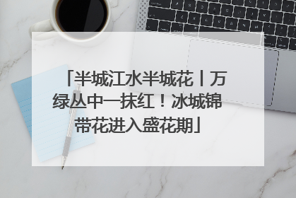 半城江水半城花丨万绿丛中一抹红！冰城锦带花进入盛花期