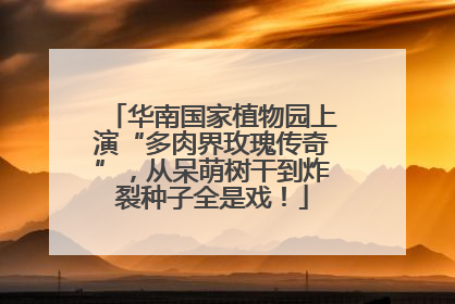 华南国家植物园上演“多肉界玫瑰传奇”，从呆萌树干到炸裂种子全是戏！