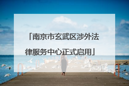 南京市玄武区涉外法律服务中心正式启用