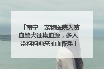 南宁一宠物医院为贫血警犬征集血源，多人带狗狗前来抽血配型