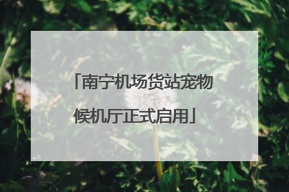 南宁机场货站宠物候机厅正式启用