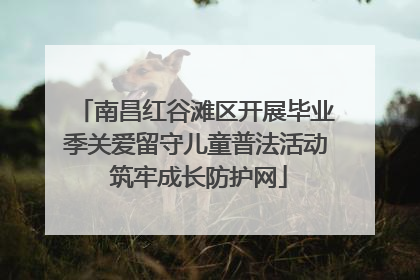 南昌红谷滩区开展毕业季关爱留守儿童普法活动 筑牢成长防护网