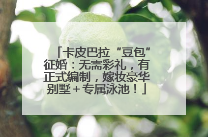 卡皮巴拉“豆包”征婚：无需彩礼，有正式编制，嫁妆豪华别墅＋专属泳池！