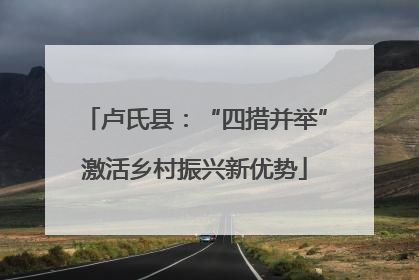 卢氏县：“四措并举”激活乡村振兴新优势