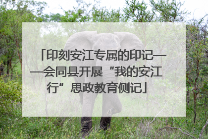 印刻安江专属的印记——会同县开展“我的安江行”思政教育侧记