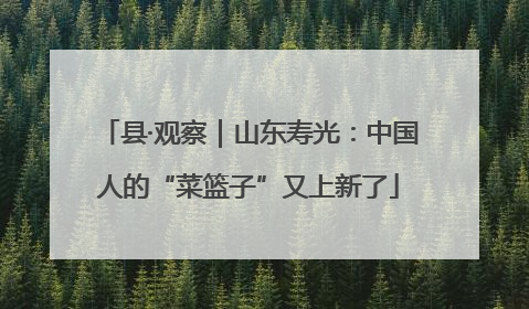 县·观察｜山东寿光：中国人的“菜篮子”又上新了