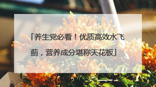养生党必看！优质高效水飞蓟，营养成分堪称天花板