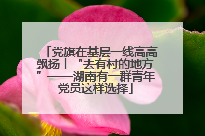 党旗在基层一线高高飘扬丨“去有村的地方”——湖南有一群青年党员这样选择