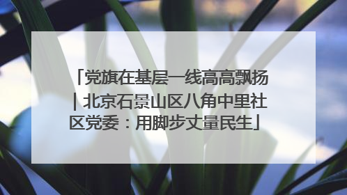 党旗在基层一线高高飘扬｜北京石景山区八角中里社区党委：用脚步丈量民生
