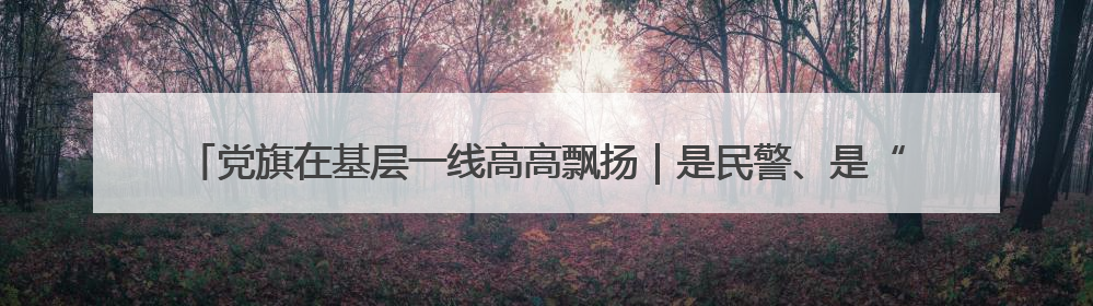 党旗在基层一线高高飘扬｜是民警、是“儿子”——申飞飞在太行山中的一线坚守