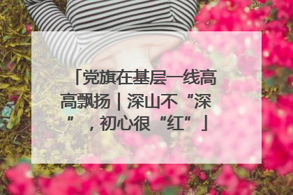 党旗在基层一线高高飘扬｜深山不“深”，初心很“红”