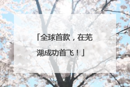 全球首款，在芜湖成功首飞！