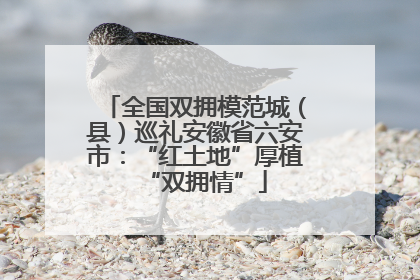 全国双拥模范城（县）巡礼安徽省六安市：“红土地”厚植“双拥情”