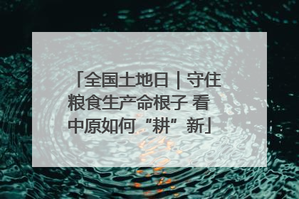 全国土地日｜守住粮食生产命根子 看中原如何“耕”新