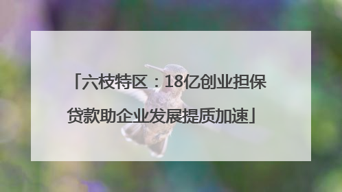 六枝特区：18亿创业担保贷款助企业发展提质加速