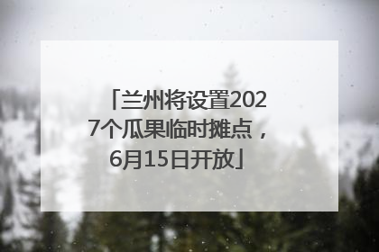 兰州将设置2027个瓜果临时摊点，6月15日开放