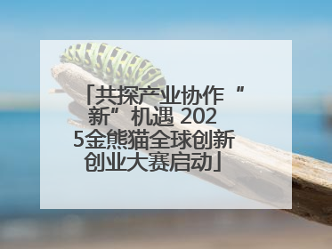 共探产业协作“新”机遇 2025金熊猫全球创新创业大赛启动