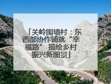 关岭围墙村：东西部协作铺就“幸福路” 描绘乡村振兴新图景