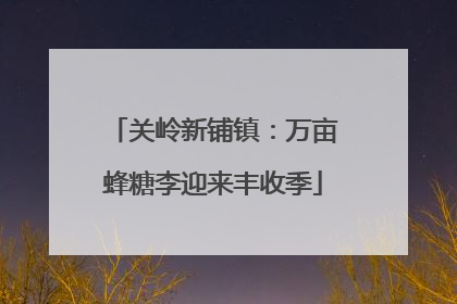 关岭新铺镇：万亩蜂糖李迎来丰收季
