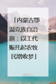 内蒙古鄂温克族自治旗：以工代赈托起农牧民增收梦