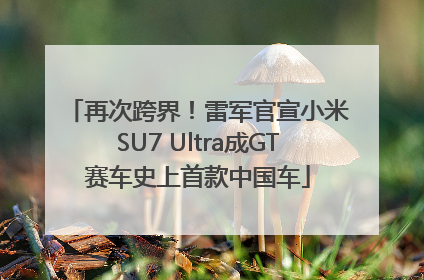 再次跨界！雷军官宣小米SU7 Ultra成GT赛车史上首款中国车