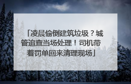凌晨偷倒建筑垃圾？城管追查当场处理！司机带着罚单回来清理现场