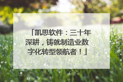 凯思软件：三十年深耕，铸就制造业数字化转型领航者！