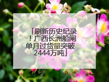 刷新历史纪录！广西长洲船闸单月过货量突破2444万吨