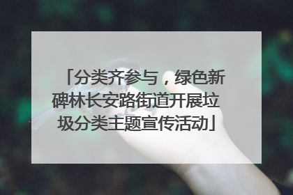 分类齐参与，绿色新碑林长安路街道开展垃圾分类主题宣传活动