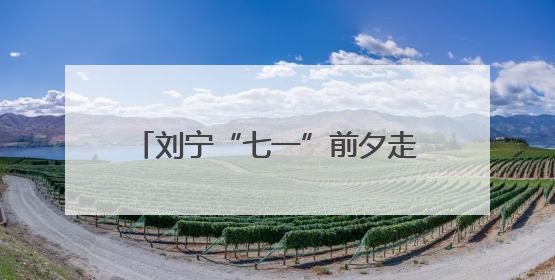刘宁“七一”前夕走访慰问老党员老战士