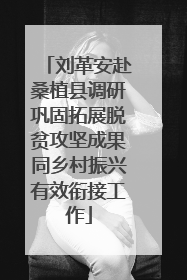 刘革安赴桑植县调研巩固拓展脱贫攻坚成果同乡村振兴有效衔接工作