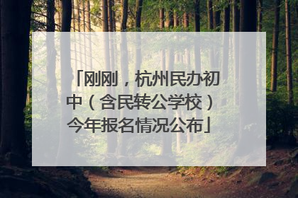 刚刚，杭州民办初中（含民转公学校）今年报名情况公布