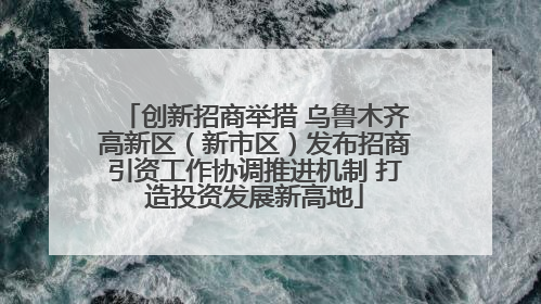 创新招商举措 乌鲁木齐高新区（新市区）发布招商引资工作协调推进机制 打造投资发展新高地