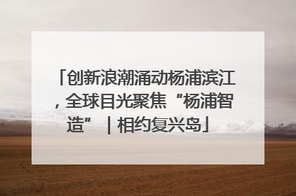 创新浪潮涌动杨浦滨江，全球目光聚焦“杨浦智造”｜相约复兴岛
