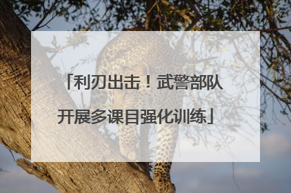 利刃出击！武警部队开展多课目强化训练