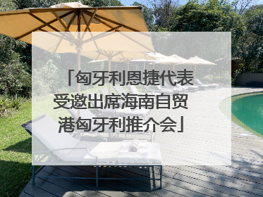 匈牙利恩捷代表受邀出席海南自贸港匈牙利推介会