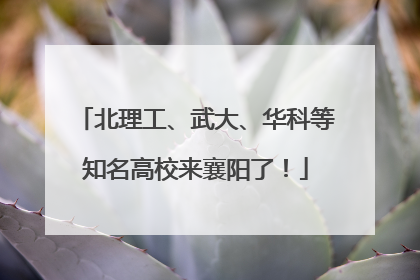 北理工、武大、华科等知名高校来襄阳了！