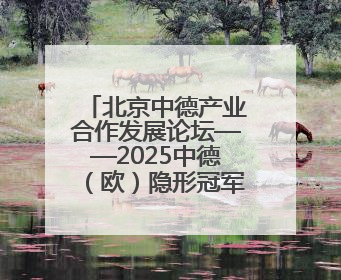 北京中德产业合作发展论坛——2025中德（欧）隐形冠军论坛开幕