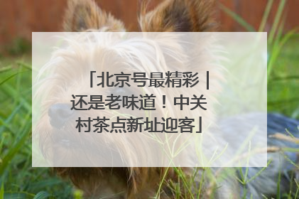 北京号最精彩｜还是老味道！中关村茶点新址迎客