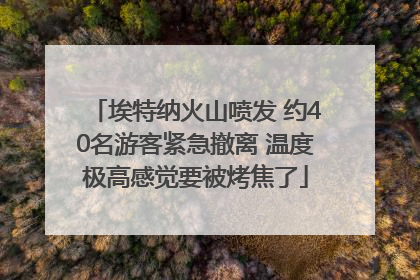 埃特纳火山喷发 约40名游客紧急撤离 温度极高感觉要被烤焦了
