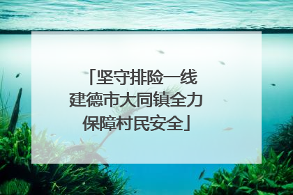 坚守排险一线 建德市大同镇全力保障村民安全