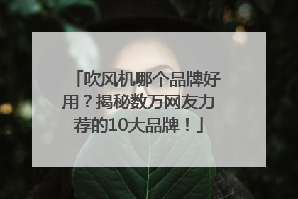 吹风机哪个品牌好用？揭秘数万网友力荐的10大品牌！