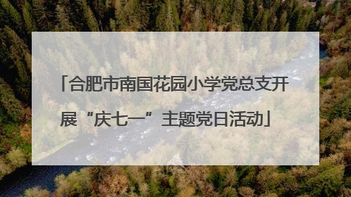 合肥市南国花园小学党总支开展“庆七一”主题党日活动