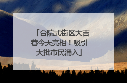 合院式街区大吉巷今天亮相！吸引大批市民涌入